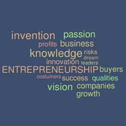 Innovation and Entrepreneurship Pillar Recommendations