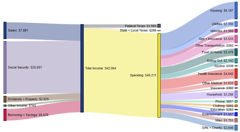 Over 75 Years Old – $40,211 in spending (95.6% of total income)